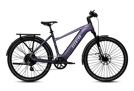 Niveau 3 Commuter Ebike