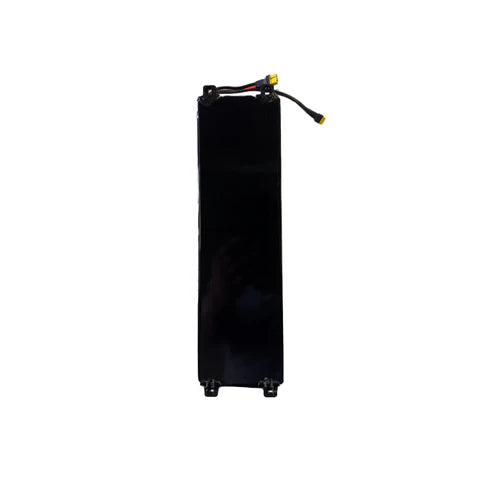 APOLLO CITY/CITY PRO 2023-24 BATTERY ASSEMBLY - 48V 20Ah