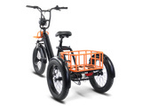 ENVO Flex Trike