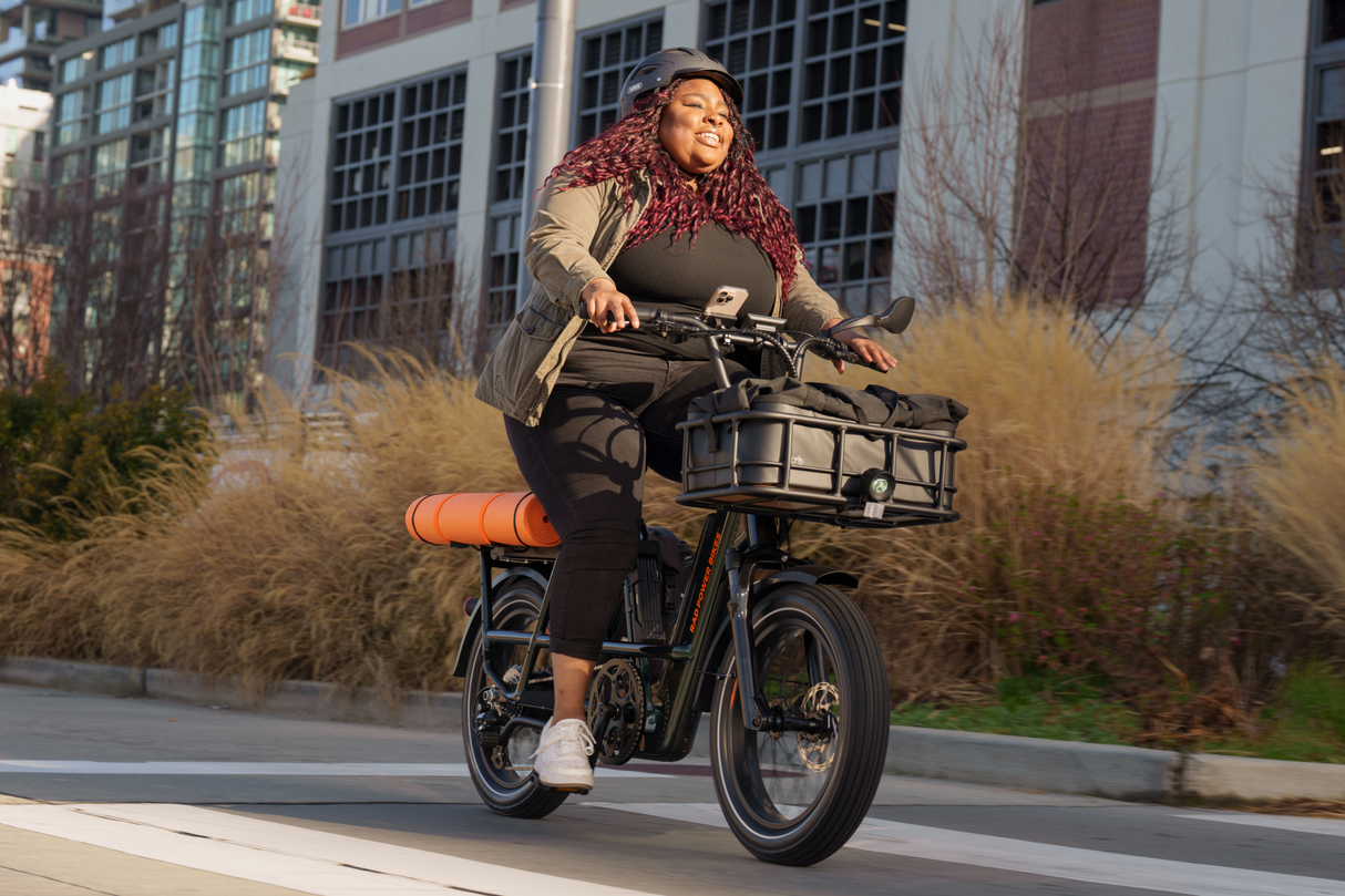 RadRunner Max Electric Cargo Utility Bike