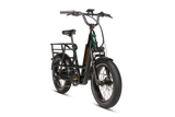 RadRunner Max Electric Cargo Utility Bike